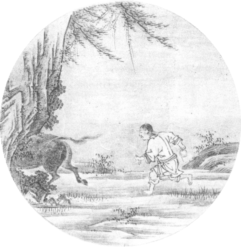 Das Finden des Ochsen